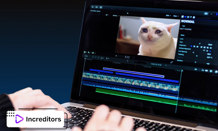 The Best Video Formats for Different Social Media