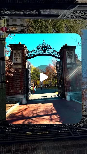 Olympian Graham Blanks: last XC race for Harvard